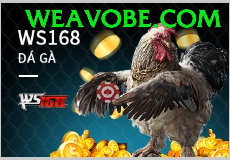 Cách Đọc Kèo Đá Gà